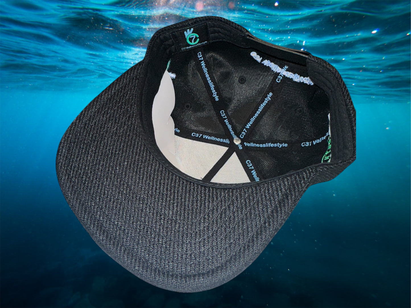 Smoking Fish Hemp Snapback